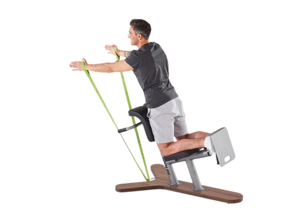 Core Stability LUMBAL 308